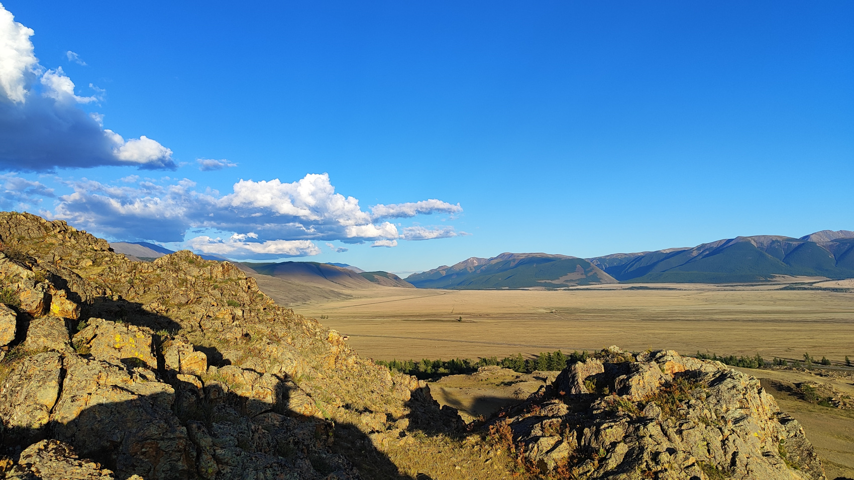 Сердце Горного Алтая: до Монголии и обратно (59/82)