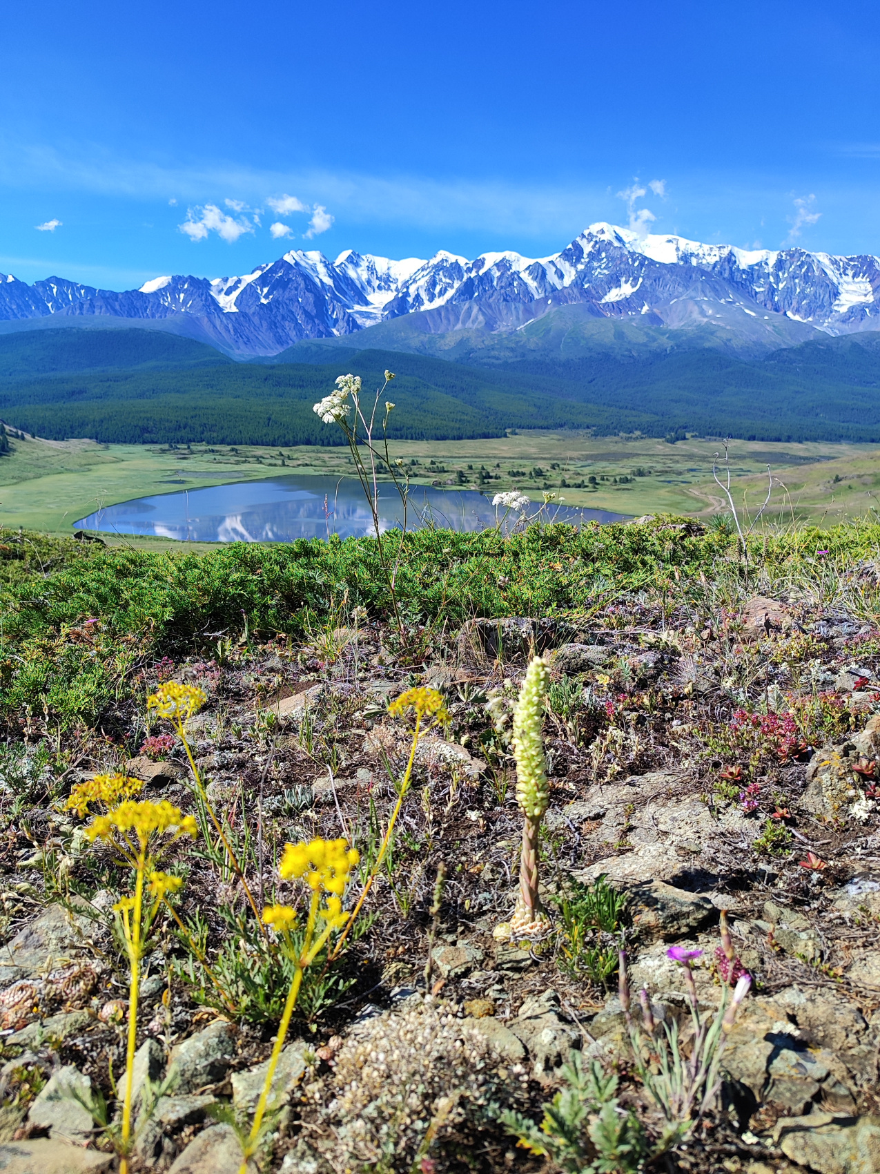 Сердце Горного Алтая: до Монголии и обратно (60/82)