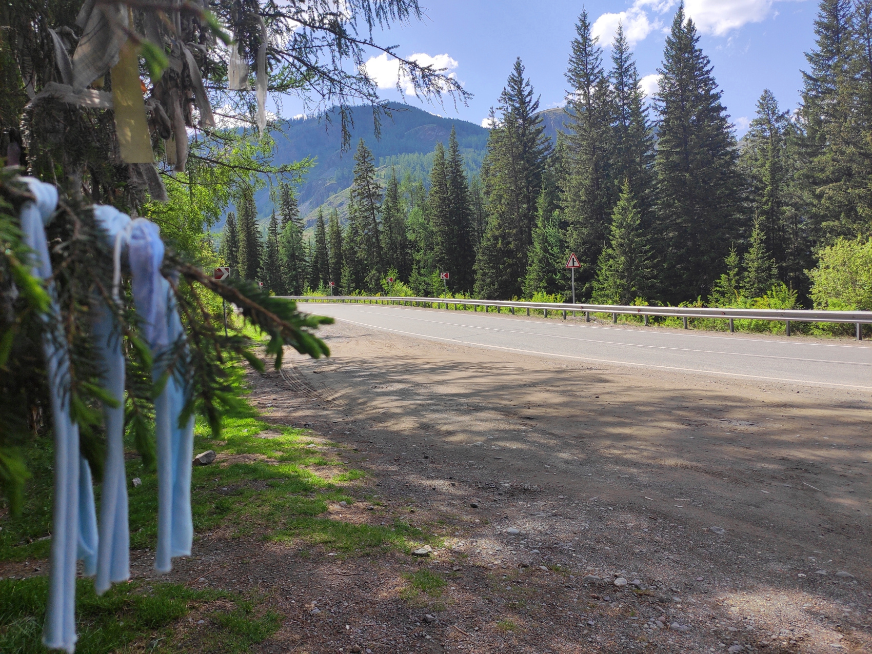 Сердце Горного Алтая: до Монголии и обратно (29/82)