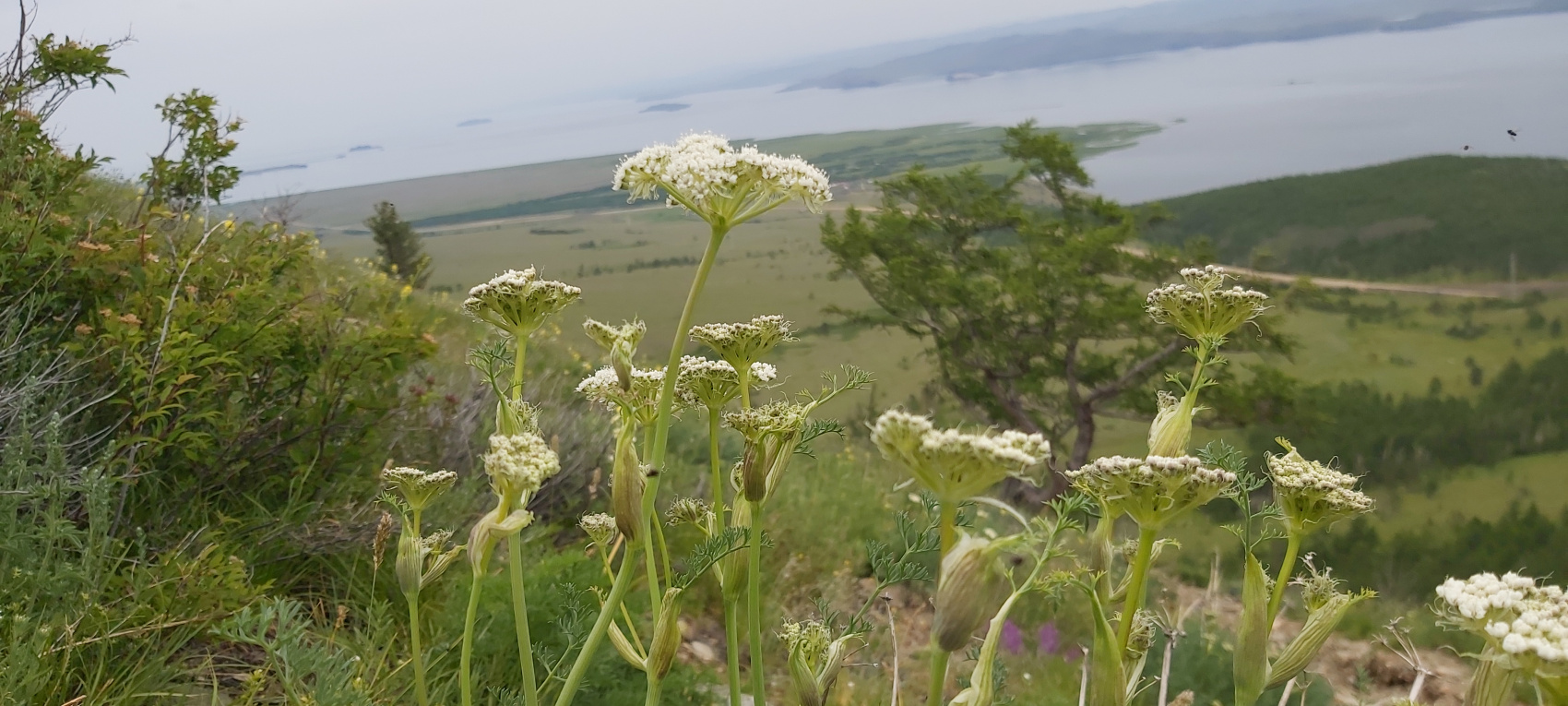Байкал персонально для Вас - яркие впечатления за 5 дней (17/51)
