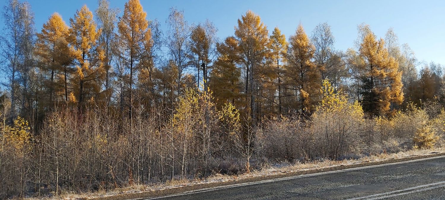 Байкал персонально для Вас - яркие впечатления за 5 дней (34/51)
