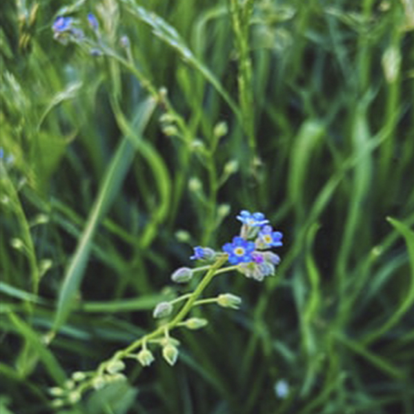 Сплав по Ладожскому озеру на морских каяках (11/22)