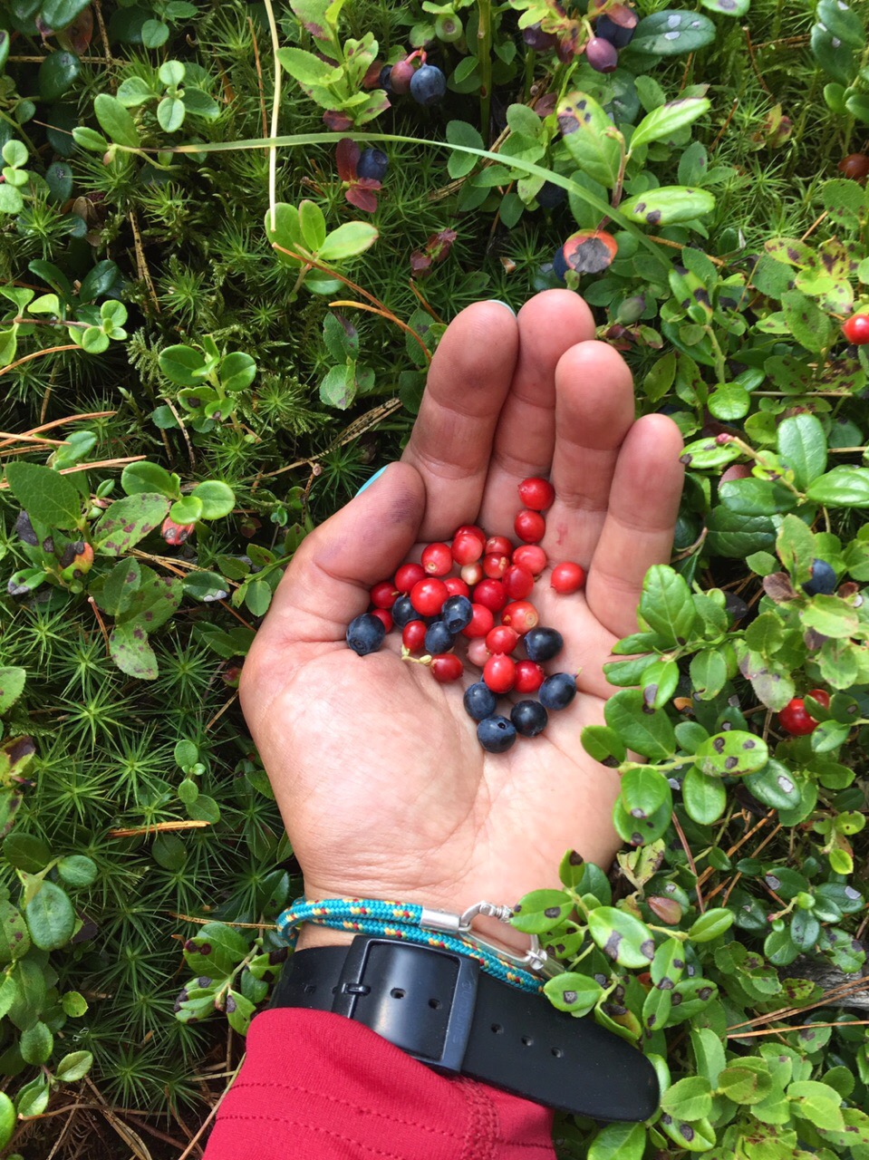 Сплав по Ладожскому озеру на морских каяках (12/22)