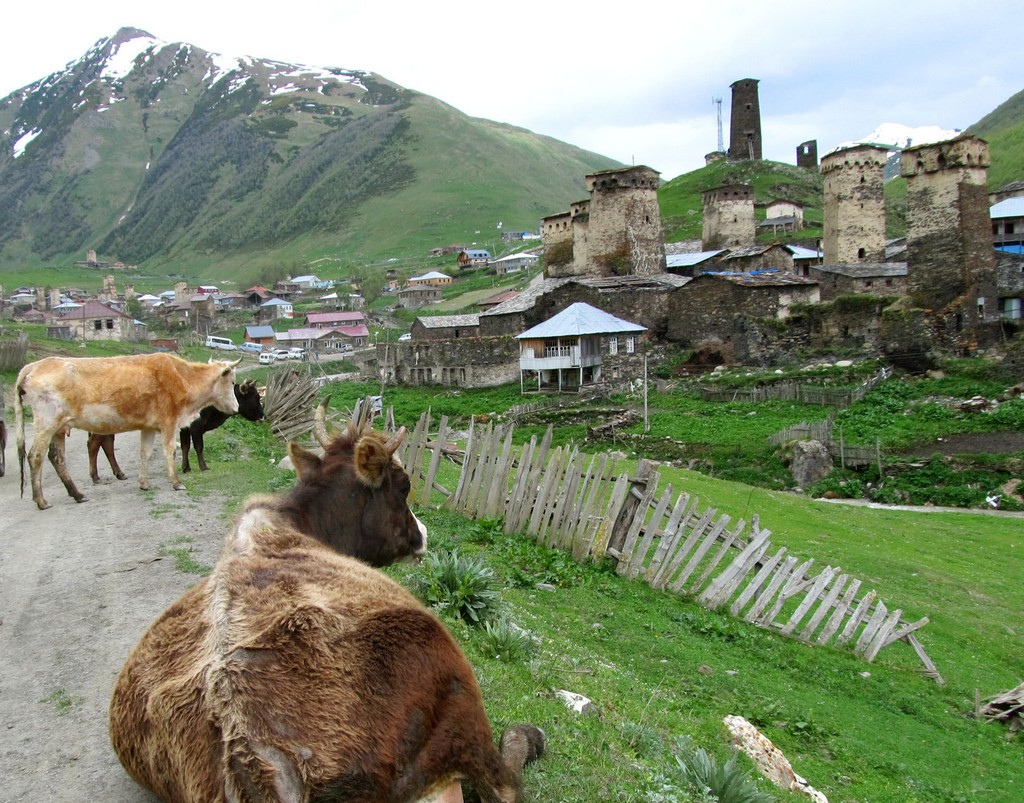 Поход в горы Сванетии, экскурсии и море (19/53)