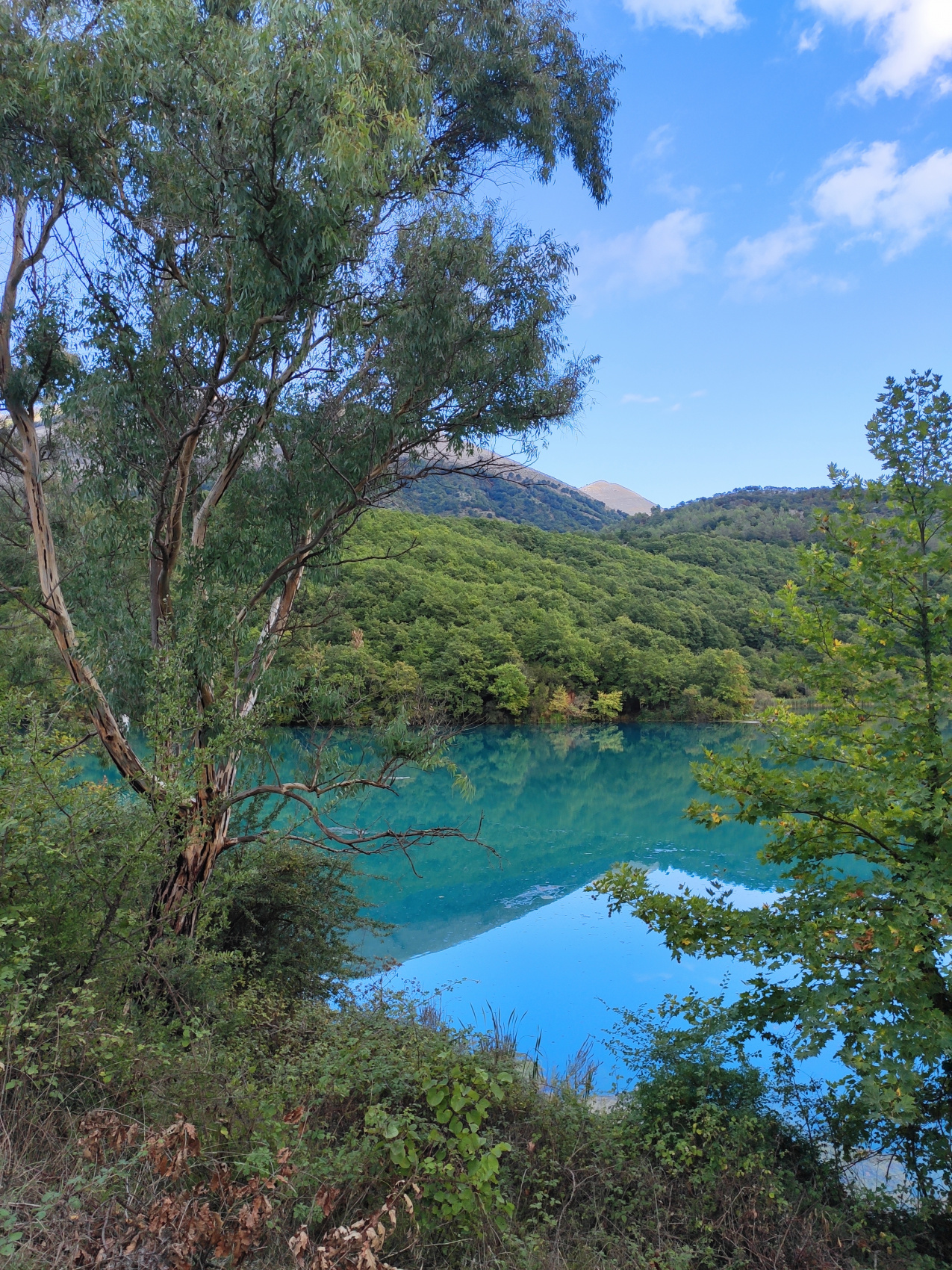   АЛБАНИЯ - полное погружение  (42/70)