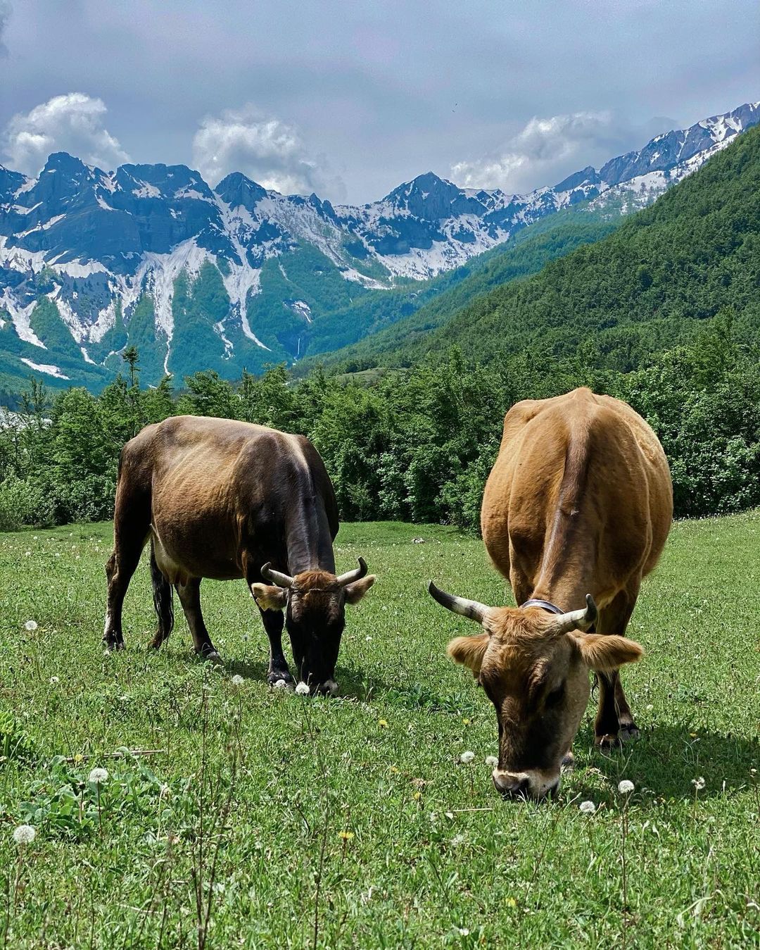   АЛБАНИЯ - полное погружение  (7/70)