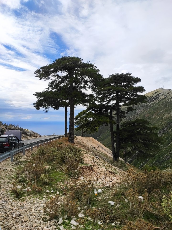   АЛБАНИЯ - полное погружение  (27/70)