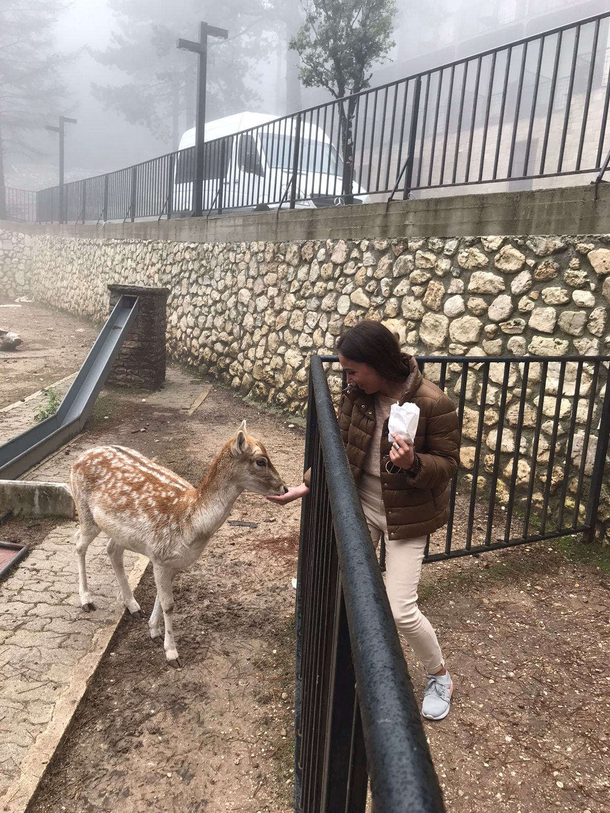   АЛБАНИЯ - полное погружение  (38/70)