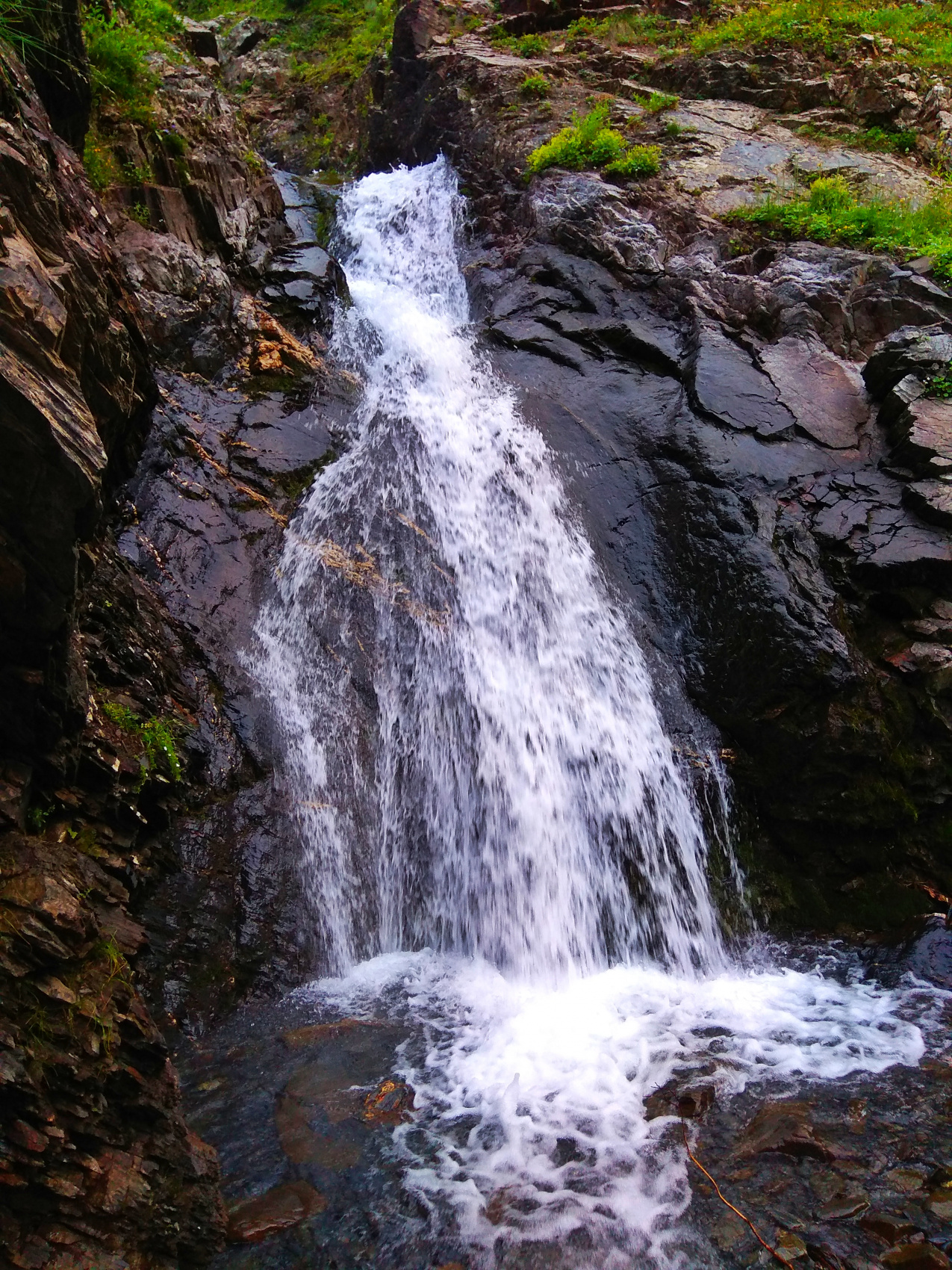 Богосский хребет. Тур в высокогорье (19/42)