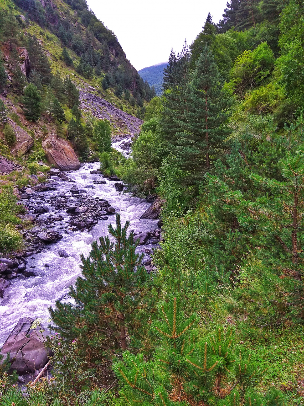 Богосский хребет. Тур в высокогорье (16/42)