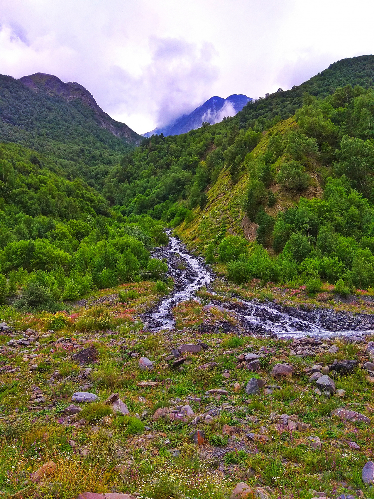 Богосский хребет. Тур в высокогорье (17/42)