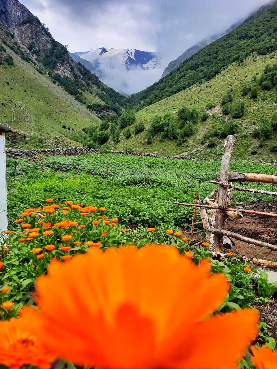 Богосский хребет. Тур в высокогорье (22/42)