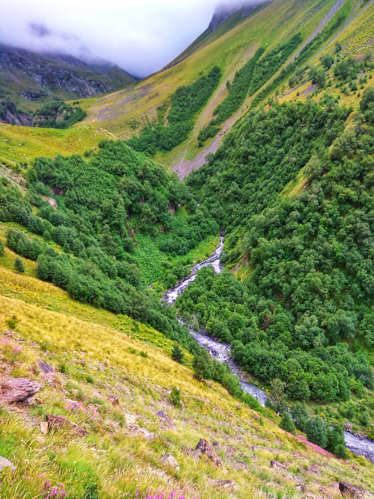 Богосский хребет. Тур в высокогорье (28/42)