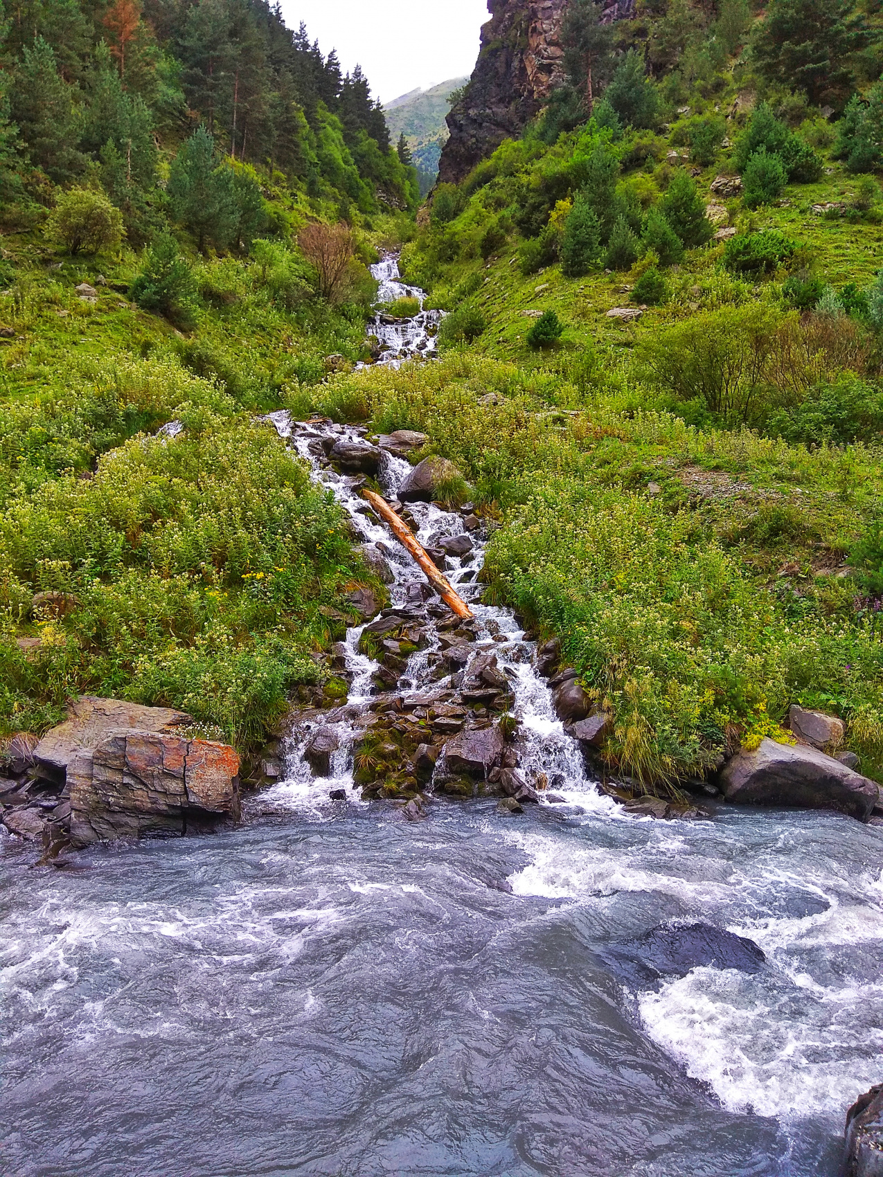 Богосский хребет. Тур в высокогорье (25/42)
