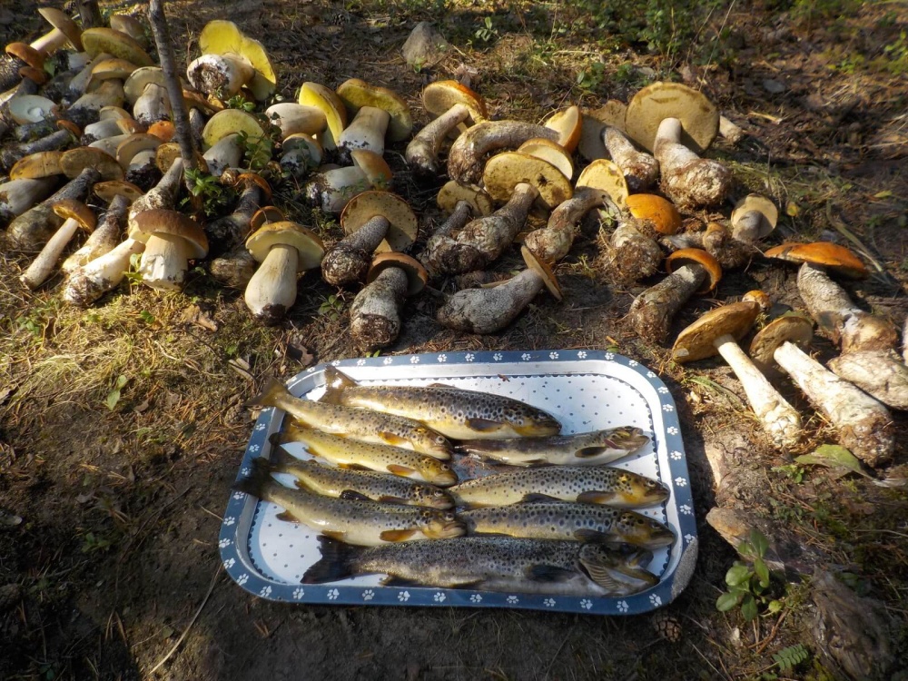 Сплав по реке Пистайоки (7/33)