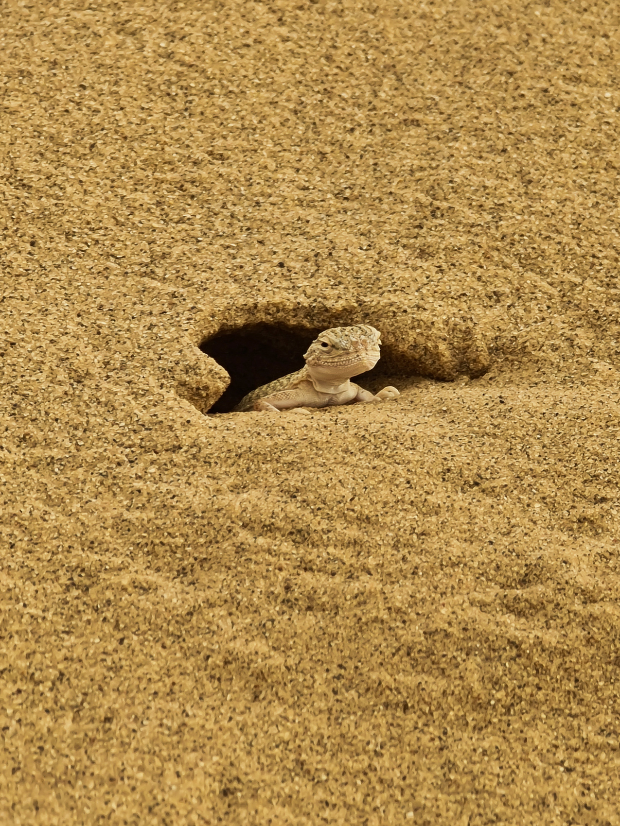 Дагестан. Горная любовь (27/108)