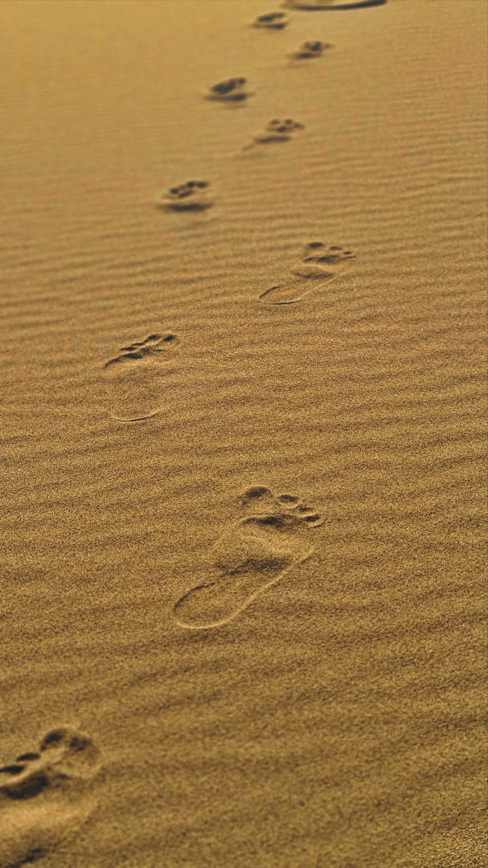 Дагестан. Горная любовь (8/108)