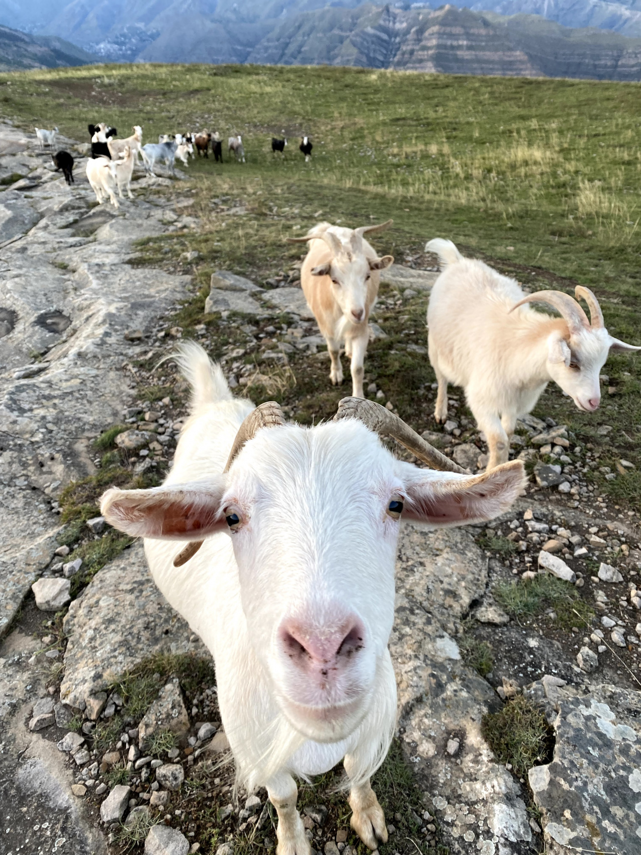 Дагестан. Горная любовь (53/108)