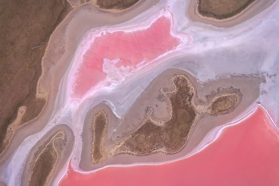 Путешествие в цветущую степь (11/26)