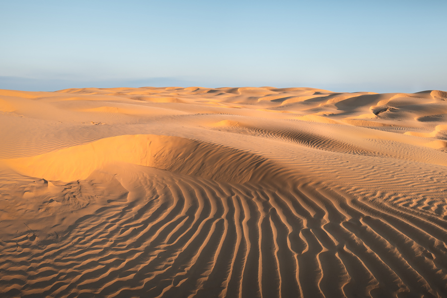 Путешествие в цветущую степь (7/26)