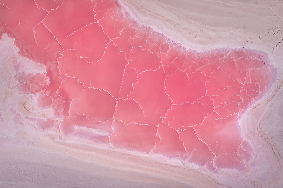 Путешествие в цветущую степь (10/26)