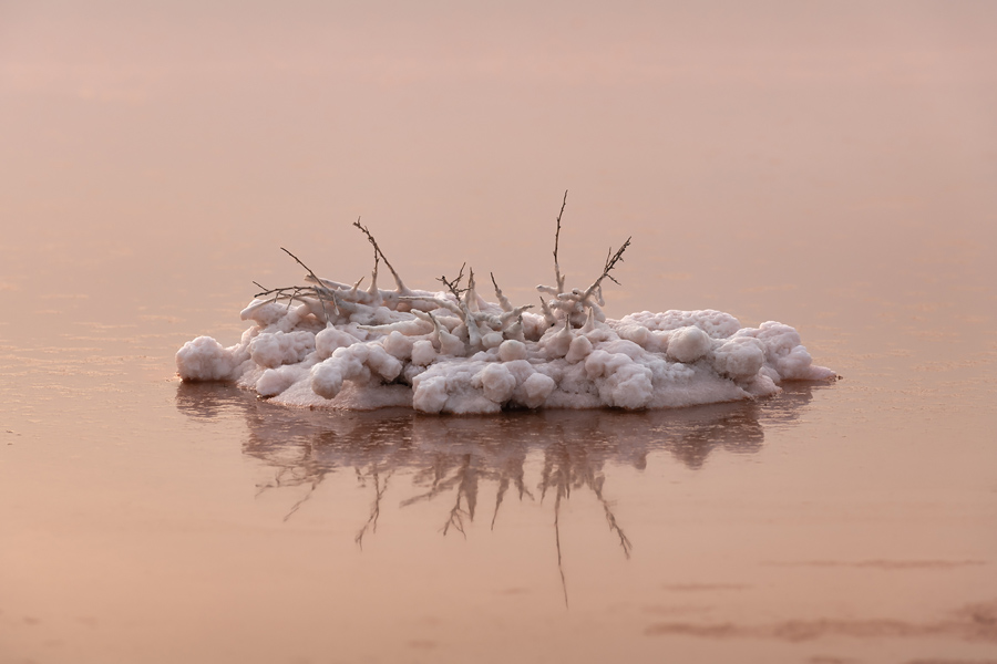 Путешествие в цветущую степь (5/26)