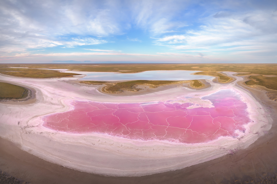 Путешествие в цветущую степь (8/26)