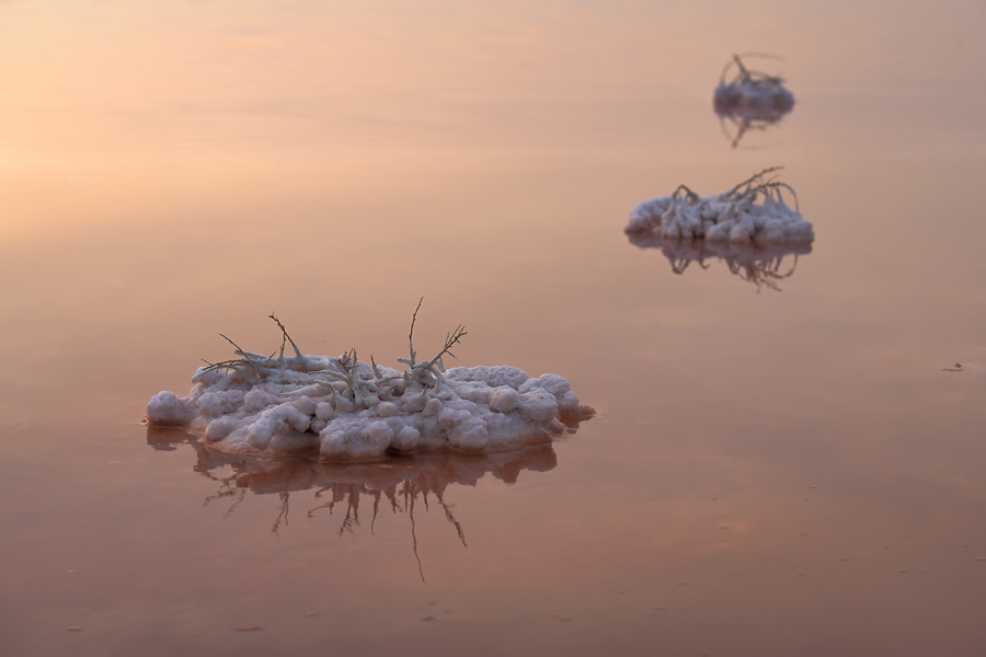 Путешествие в цветущую степь (6/26)