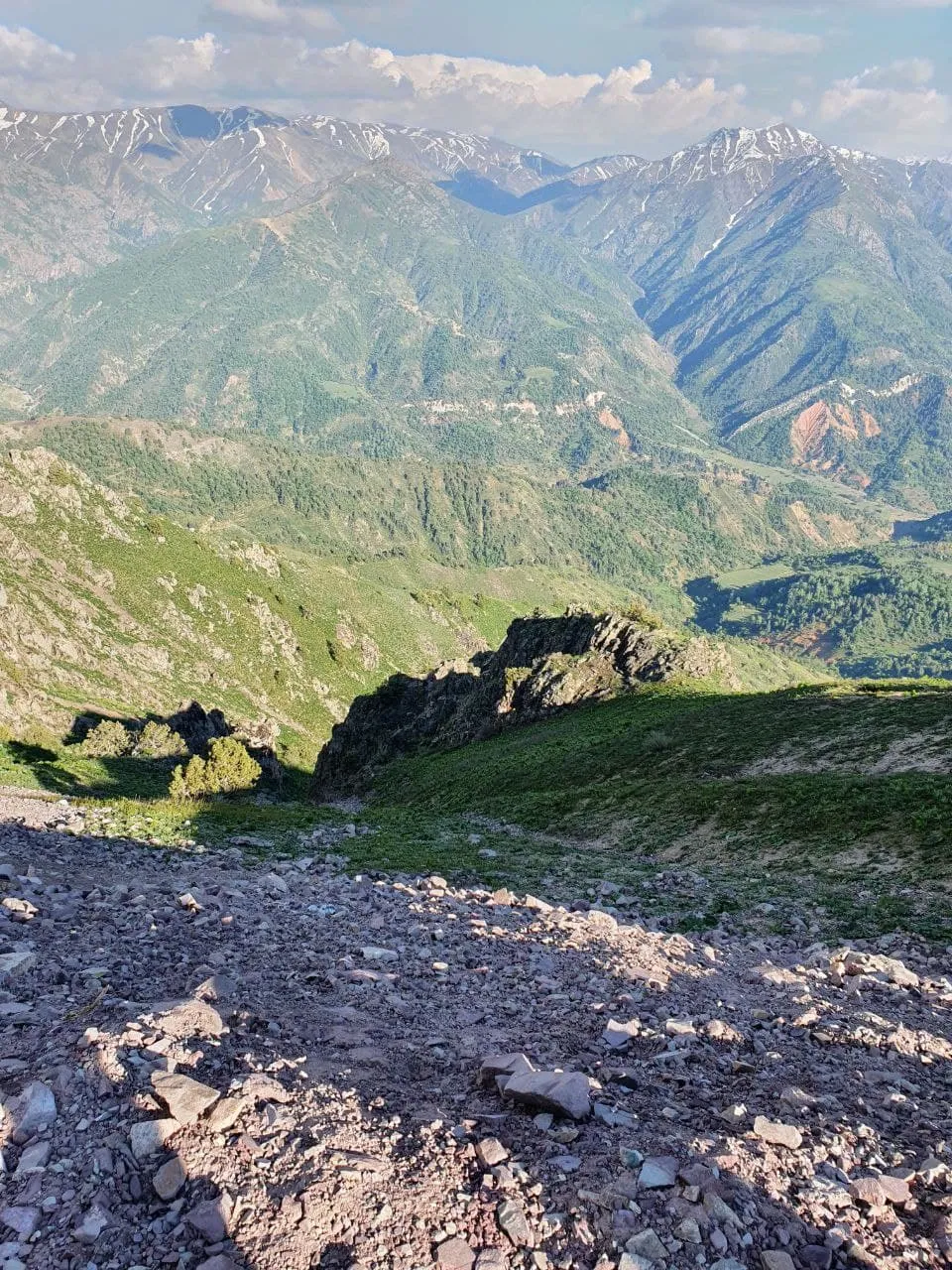 Новый Год   по-узбекски+ новогодний стол в ресторане+ обеды (13/36)