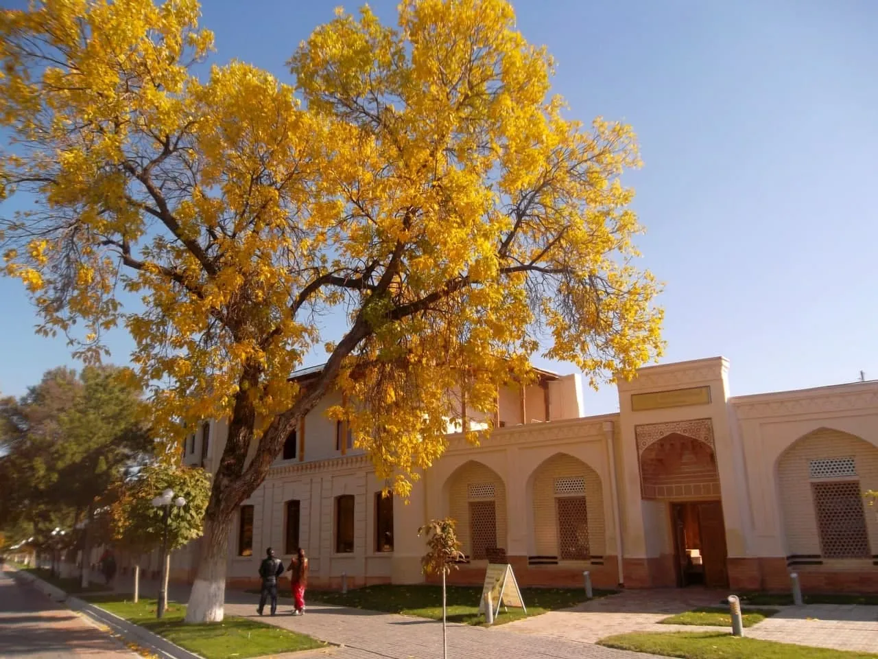 Новый Год   по-узбекски+ новогодний стол в ресторане+ обеды (4/36)