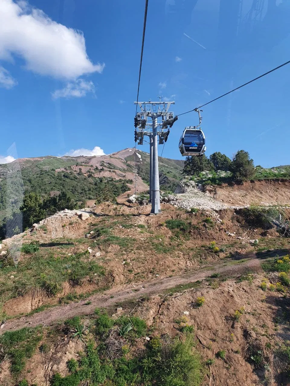 Новый Год   по-узбекски+ новогодний стол в ресторане+ обеды (3/36)