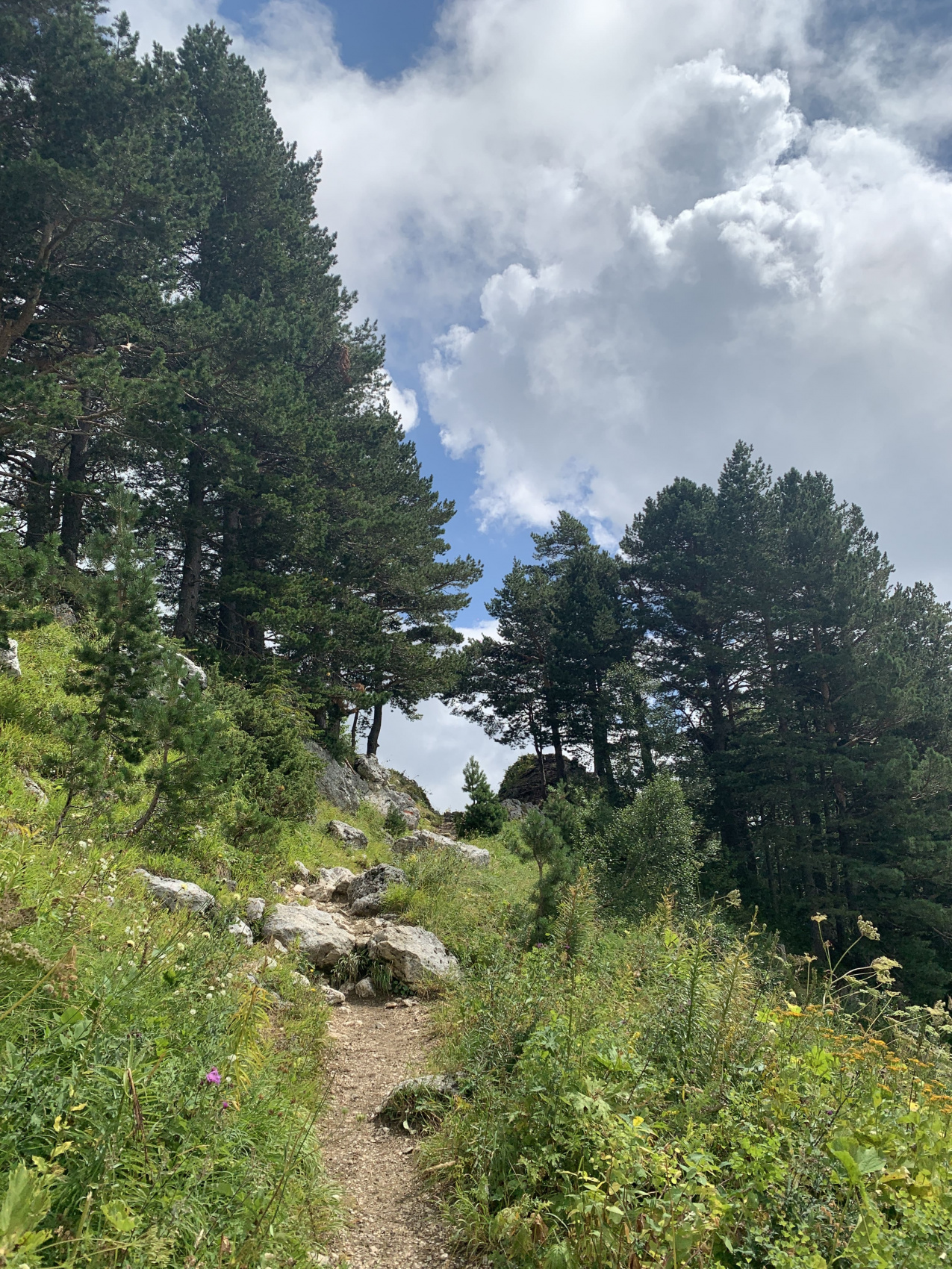 Вершины Адыгеи: Оштен и Фишт (поход) (19/43)