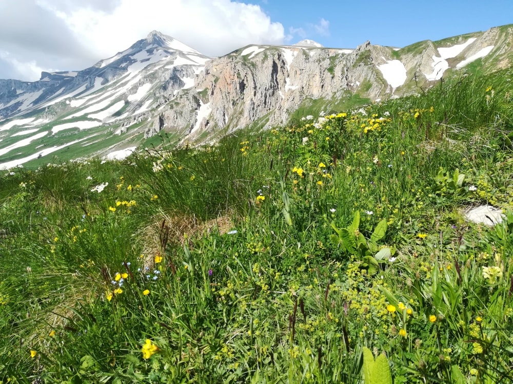 Вершины Адыгеи: Оштен и Фишт (поход) (18/43)