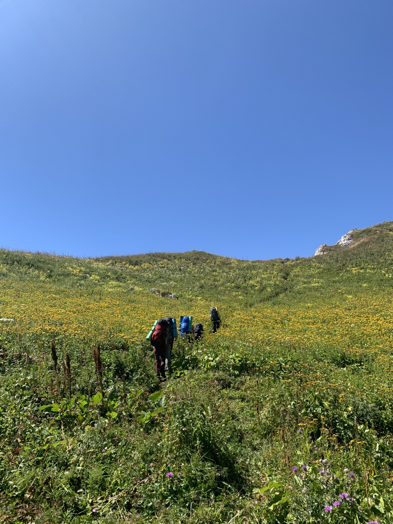 Вершины Адыгеи: Оштен и Фишт (поход) (5/43)