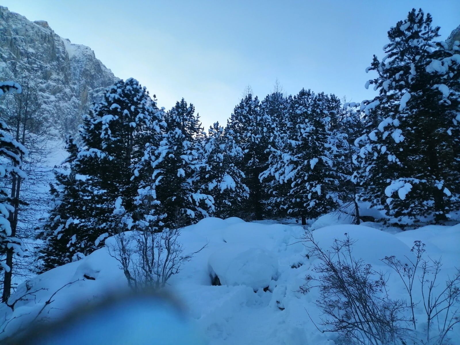 Чудеса Алтая. Зимний тур (4/24)