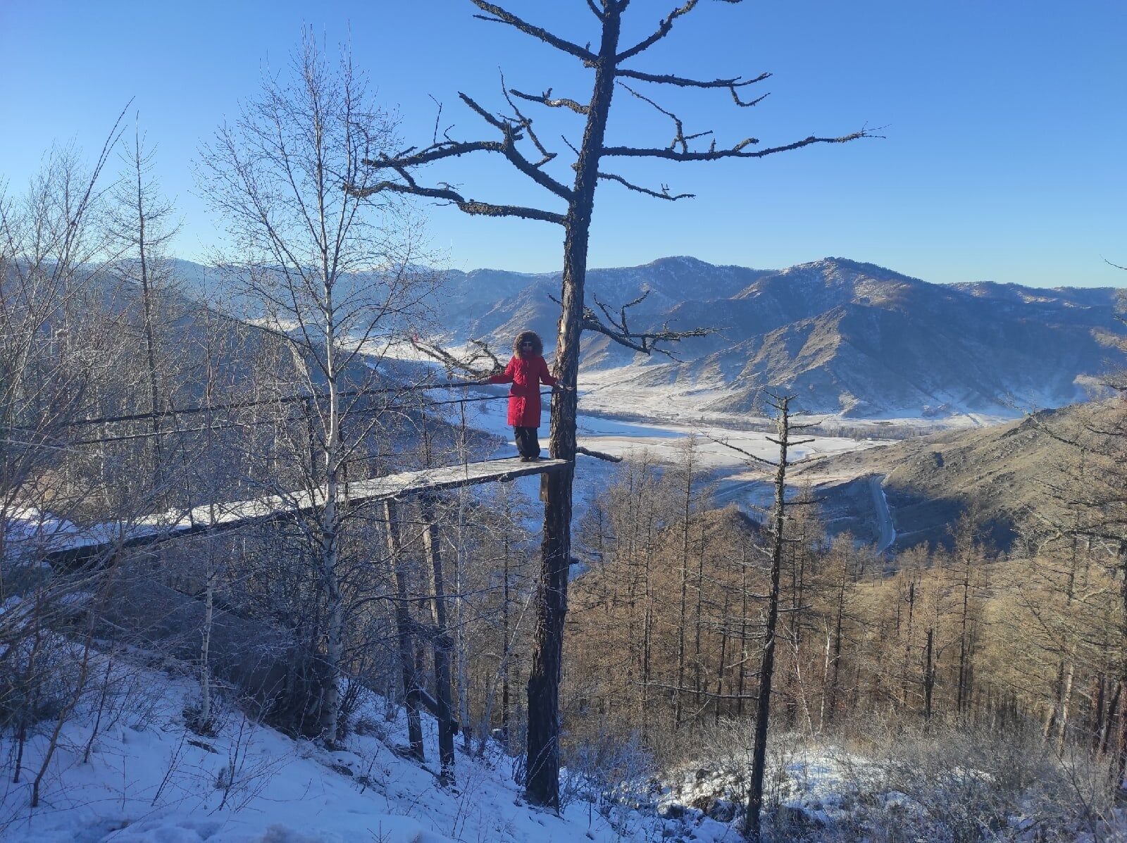 Чудеса Алтая. Зимний тур (10/24)