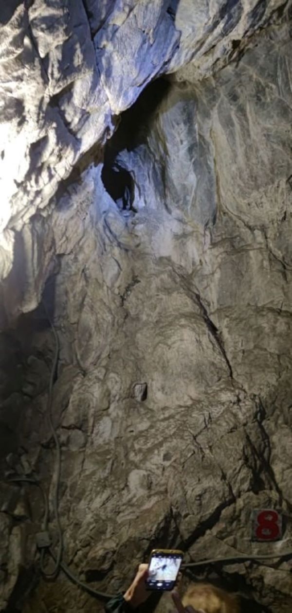 Чудеса Алтая. Зимний тур (11/24)