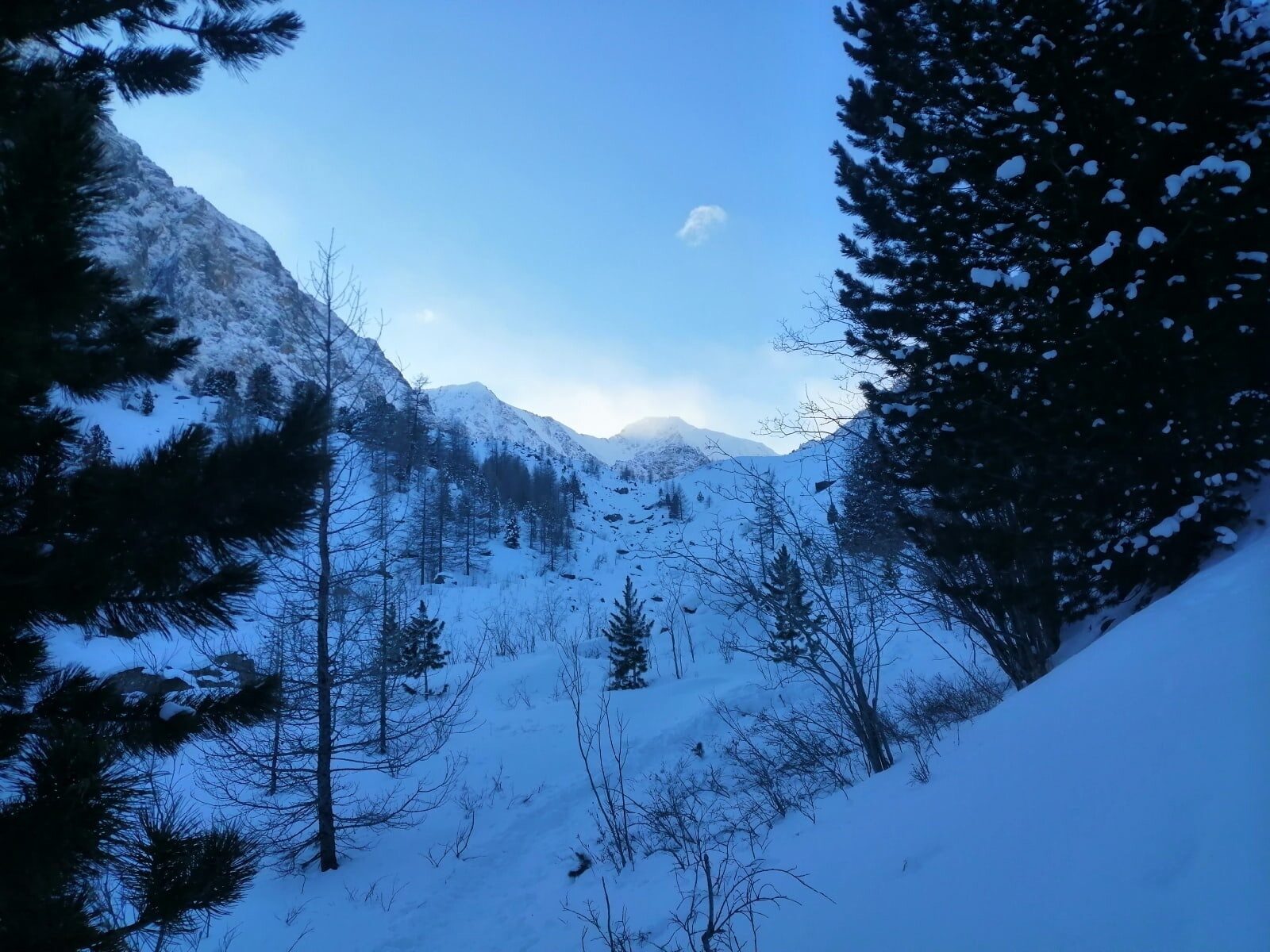 Чудеса Алтая. Зимний тур (2/24)