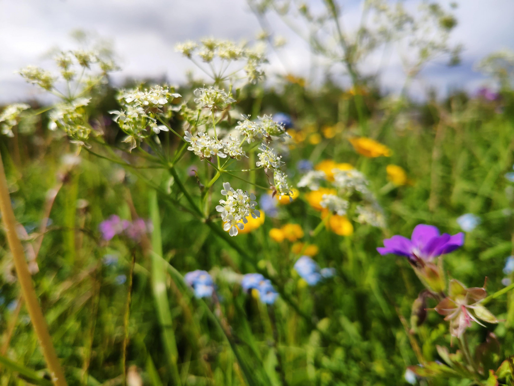 Сплав по реке Тумча (6/33)
