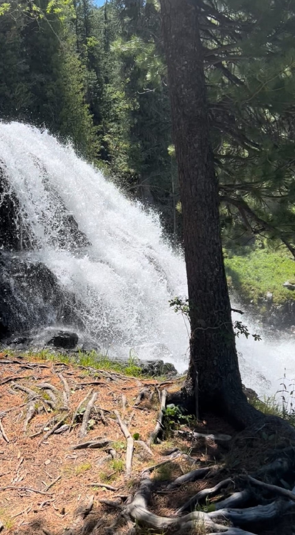 Активный тур на Алтай Сила Мультинских озер (12/45)