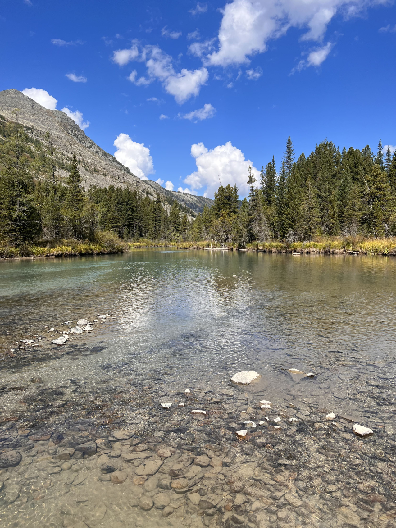 Активный тур на Алтай Сила Мультинских озер (19/45)