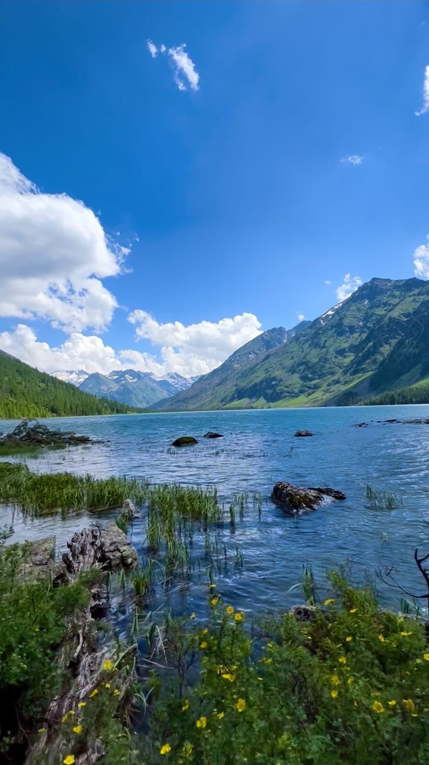 Активный тур на Алтай Сила Мультинских озер (18/45)