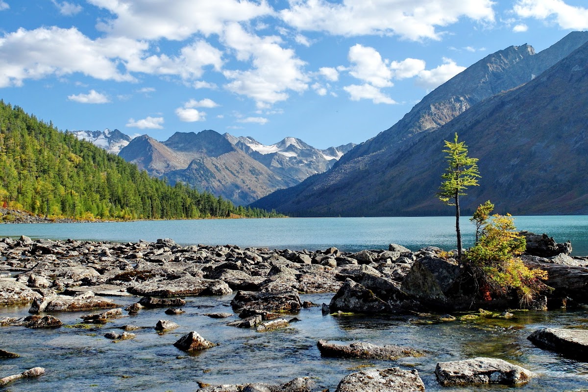 Активный тур на Алтай Сила Мультинских озер (6/45)