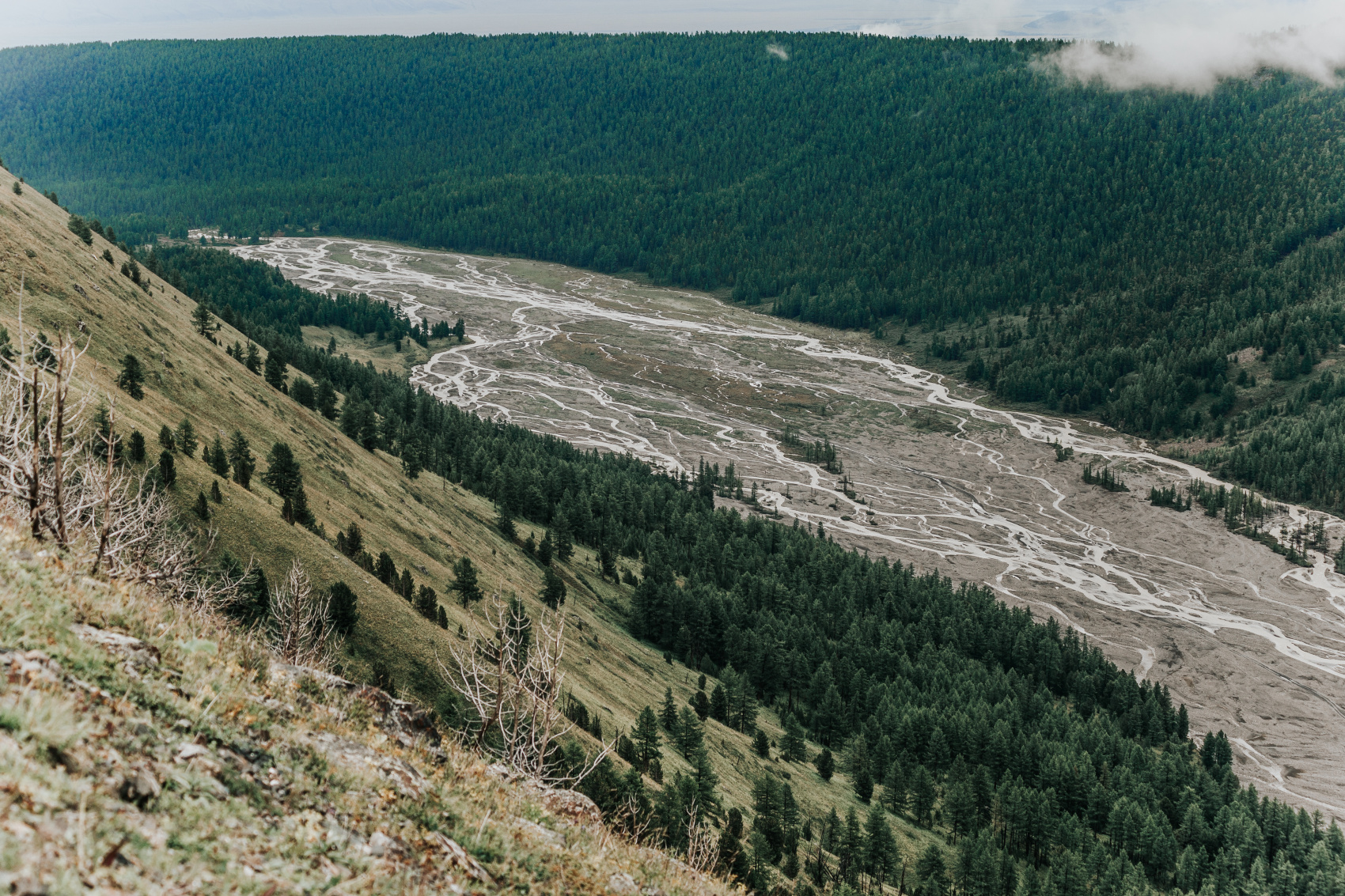 На Алтай к ледникам Актру! Без рюкзаков, 6 дней (3/39)