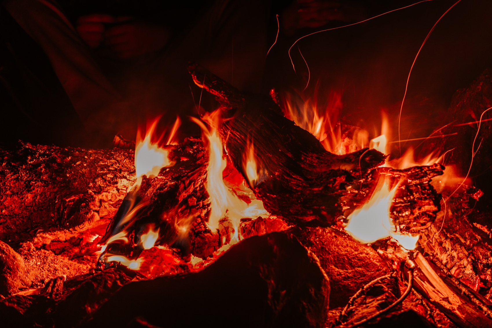 На Алтай к ледникам Актру! Без рюкзаков, 6 дней (17/39)