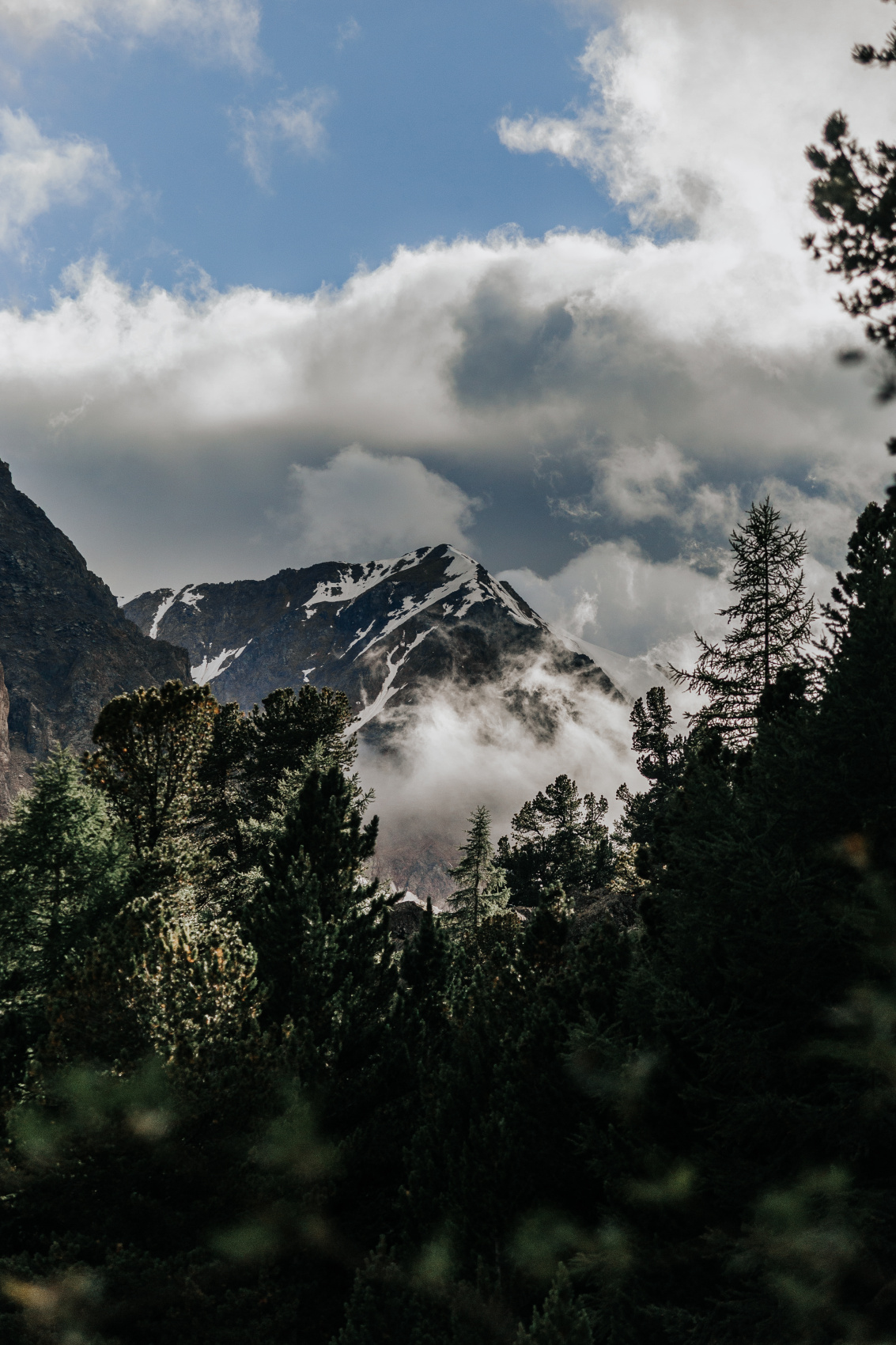 На Алтай к ледникам Актру! Без рюкзаков, 6 дней (7/39)