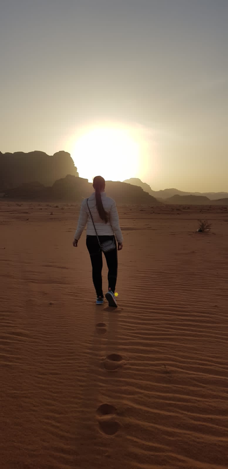 Иордания на Максималках, все отели 5 и 4 звезды (30/51)