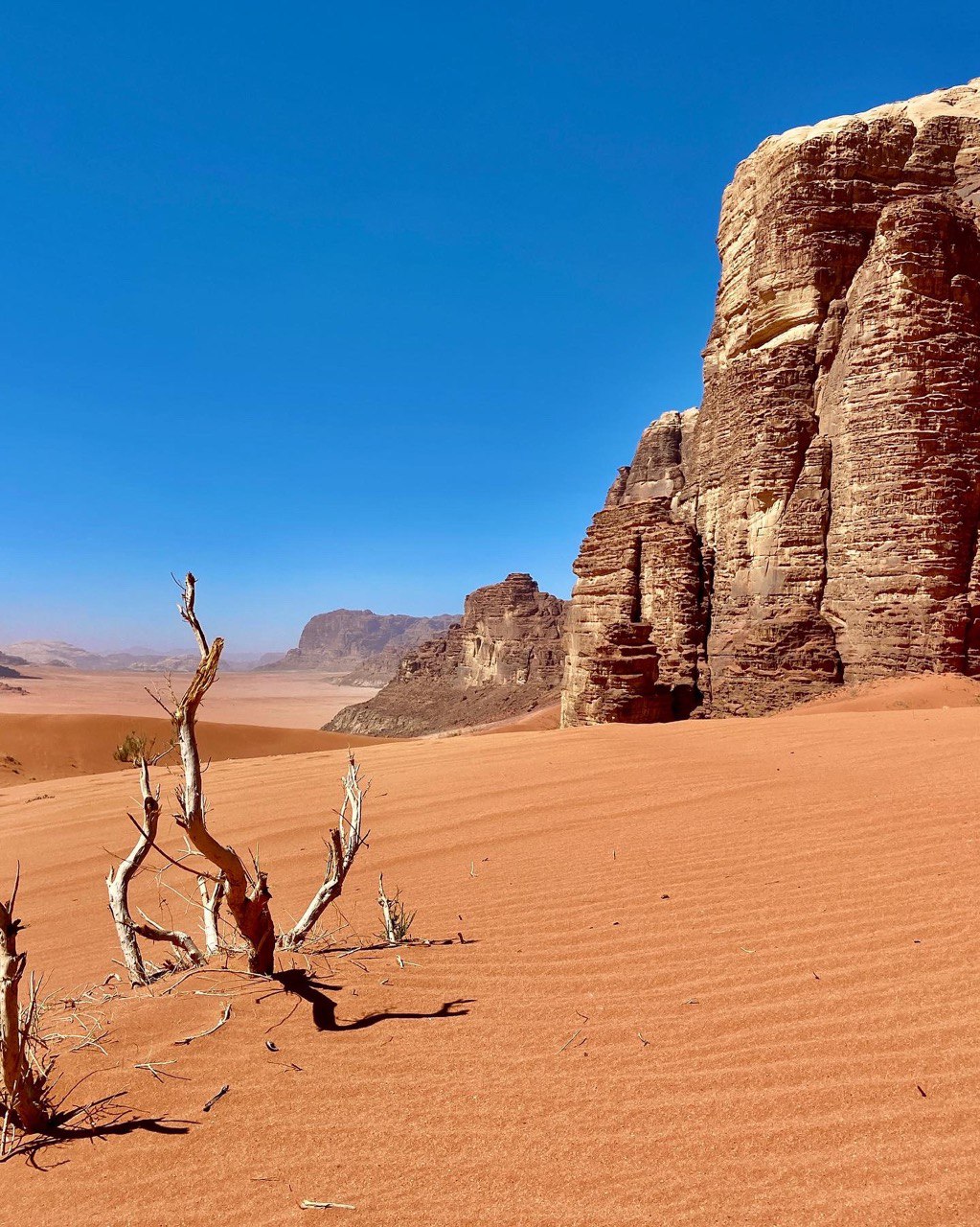 Иордания на Максималках, все отели 5 и 4 звезды (40/51)