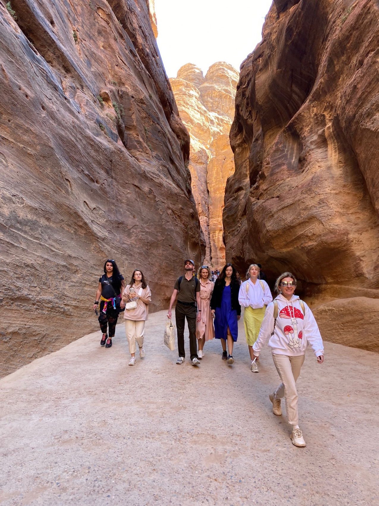 Иордания на Максималках, все отели 5 и 4 звезды (17/51)