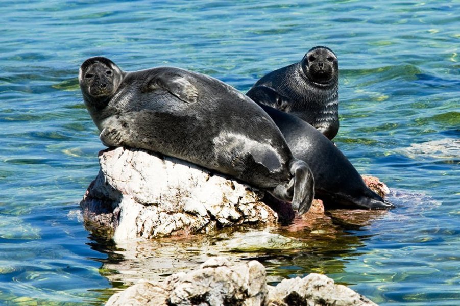Байкал. Тайны скалистых берегов. 2 дня (6/7)